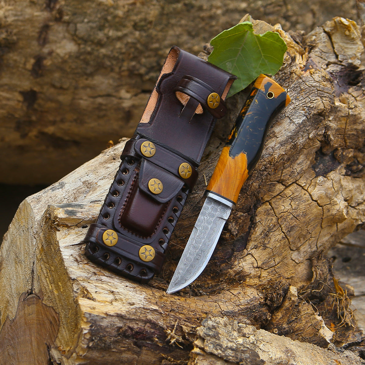 Damascus Knife - Predator Damascus Steel Knife with Exotic Olive Wood Burl & Resin Handle - Shokunin USA