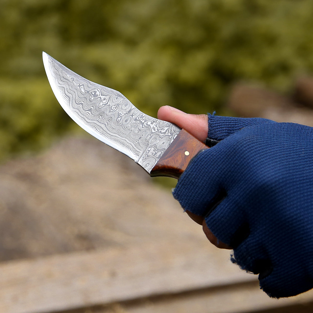 outdoor knife - Mangler Damascus Hunting Knife with Rose Wood & Stag Horn Handle - Shokunin USA