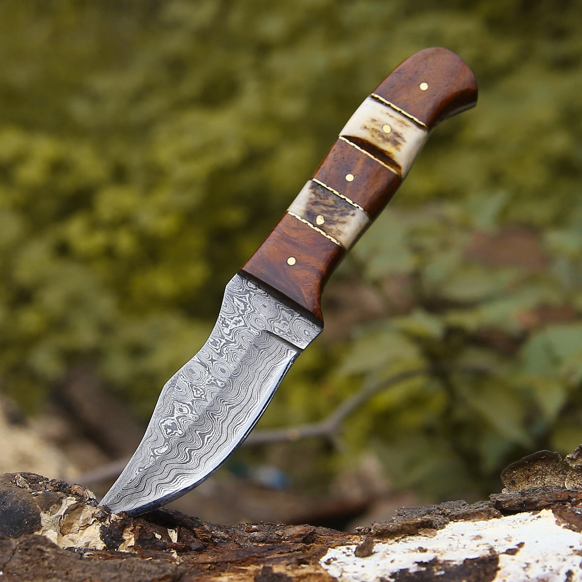 camp knife - Mangler Damascus Hunting Knife with Rose Wood & Stag Horn Handle - Shokunin USA