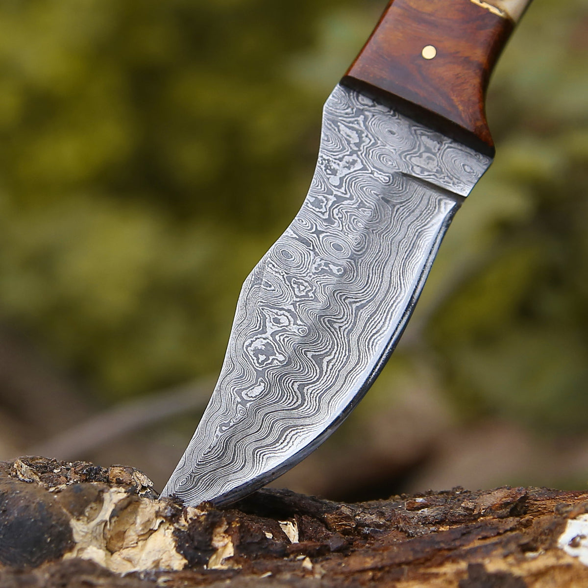 fixed blade camping knife - Mangler Damascus Hunting Knife with Rose Wood & Stag Horn Handle - Shokunin USA