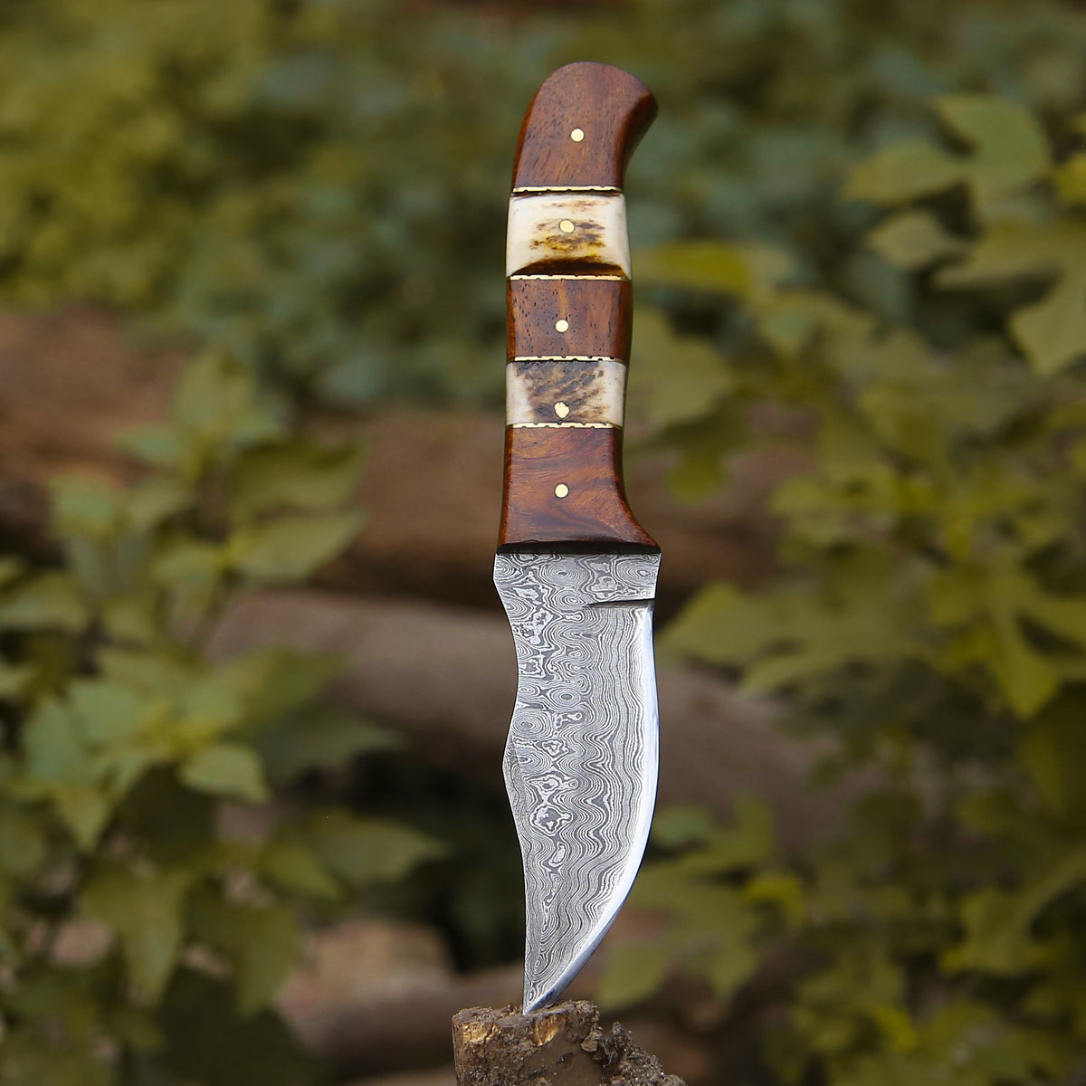 bushcraft knife - Mangler Damascus Hunting Knife with Rose Wood & Stag Horn Handle - Shokunin USA
