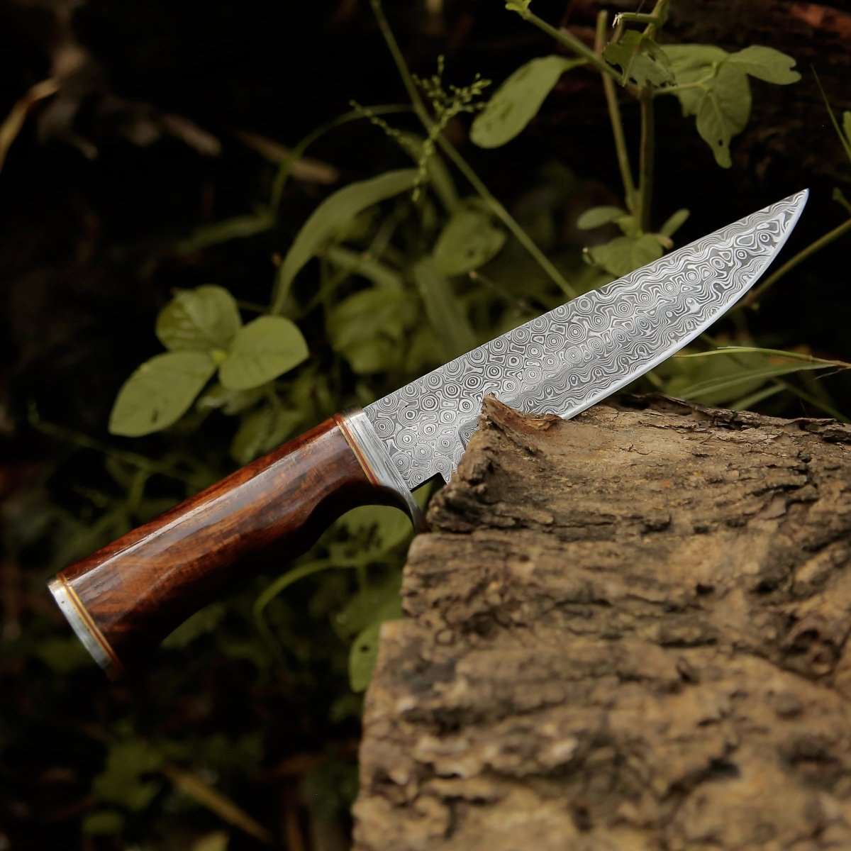 hunting bowie knife - Crucifier Original Bowie Knife with Exotic Rosewood Handle - Shokunin USA